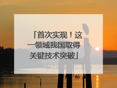 首次实现！这一领域我国取得关键技术突破