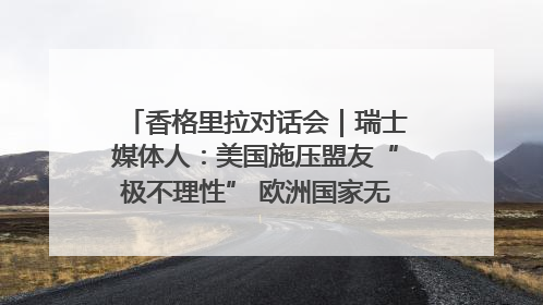 香格里拉对话会｜瑞士媒体人：美国施压盟友“极不理性” 欧洲国家无意与中国“脱钩断链”