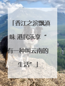 香江之滨飘滇味 港民乐享“有一种叫云南的生活”