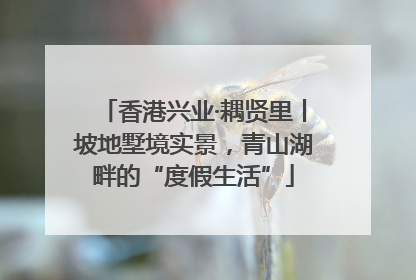 香港兴业·耦贤里丨坡地墅境实景，青山湖畔的“度假生活”