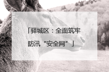 驿城区：全面筑牢防汛“安全网”