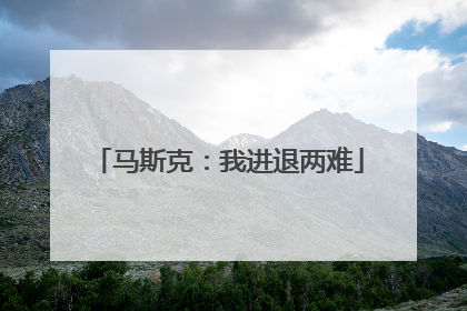 马斯克：我进退两难