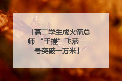 高二学生成火箭总师 “手搓”飞燕一号突破一万米