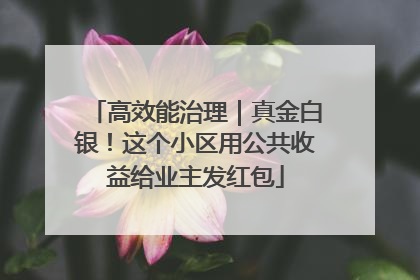 高效能治理｜真金白银！这个小区用公共收益给业主发红包