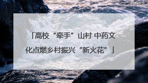 高校“牵手”山村 中药文化点燃乡村振兴“新火花”