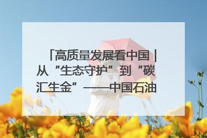高质量发展看中国｜从“生态守护”到“碳汇生金”——中国石油大庆油田绿色蝶变