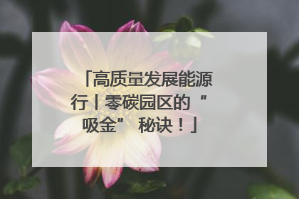 高质量发展能源行丨零碳园区的“吸金” 秘诀！