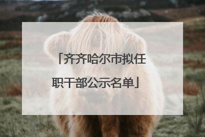 齐齐哈尔市拟任职干部公示名单