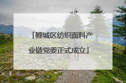 鲤城区纺织面料产业链党委正式成立