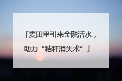 麦田里引来金融活水，助力“秸秆消失术”