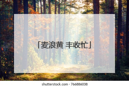 麦浪黄 丰收忙