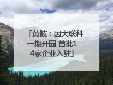 黄陂：因大联科一期开园 首批14家企业入驻