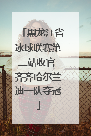 黑龙江省冰球联赛第二站收官 齐齐哈尔兰迪一队夺冠