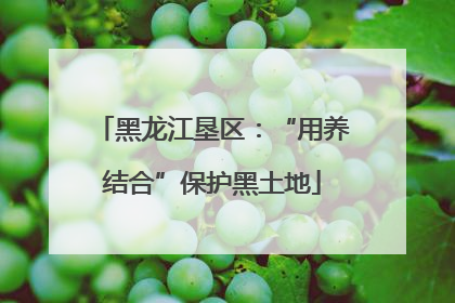 黑龙江垦区：“用养结合”保护黑土地