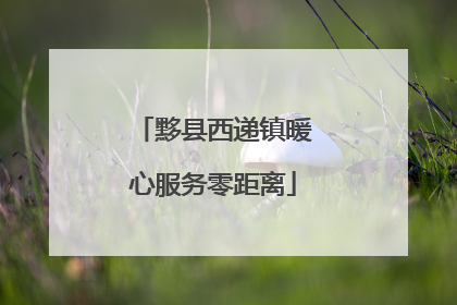 黟县西递镇暖心服务零距离