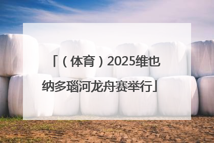 （体育）2025维也纳多瑙河龙舟赛举行