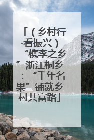 （乡村行·看振兴）“槜李之乡”浙江桐乡：“千年名果”铺就乡村共富路