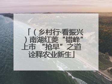 （乡村行·看振兴）南湖红菱“错峰”上市 “抢早”之道诠释农业新生