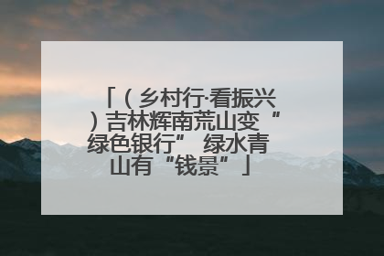 （乡村行·看振兴）吉林辉南荒山变“绿色银行” 绿水青山有“钱景”