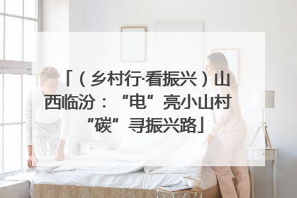 （乡村行·看振兴）山西临汾：“电”亮小山村 “碳”寻振兴路