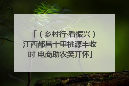 （乡村行·看振兴）江西都昌十里桃源丰收时 电商助农笑开怀