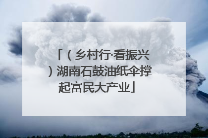 （乡村行·看振兴）湖南石鼓油纸伞撑起富民大产业