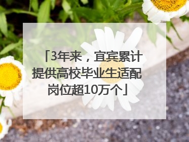 3年来，宜宾累计提供高校毕业生适配岗位超10万个