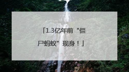 1.3亿年前“僵尸蚂蚁”现身！