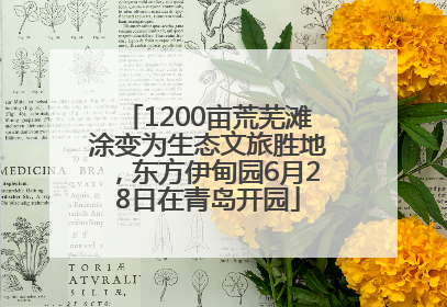 1200亩荒芜滩涂变为生态文旅胜地，东方伊甸园6月28日在青岛开园