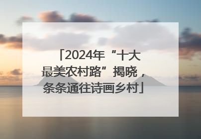 2024年“十大最美农村路”揭晓，条条通往诗画乡村