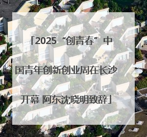2025“创青春”中国青年创新创业周在长沙开幕 阿东沈晓明致辞