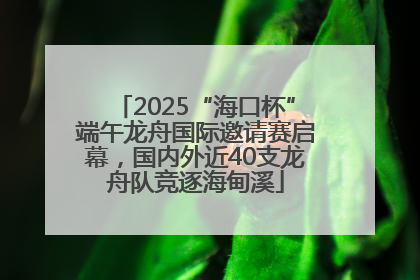 2025“海口杯”端午龙舟国际邀请赛启幕，国内外近40支龙舟队竞逐海甸溪