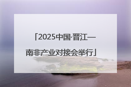 2025中国·晋江—南非产业对接会举行