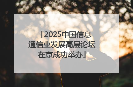 2025中国信息通信业发展高层论坛在京成功举办