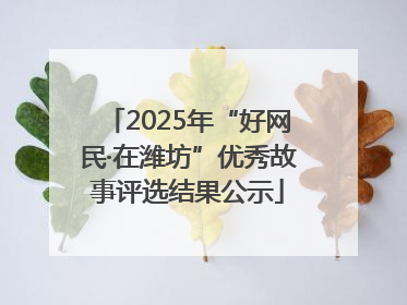 2025年“好网民·在潍坊”优秀故事评选结果公示