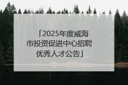 2025年度威海市投资促进中心招聘优秀人才公告
