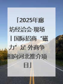 2025年廊坊经洽会·现场丨国际招商“磁力”足 外商争相向河北推介项目