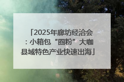 2025年廊坊经洽会：小箱包“圈粉”大咖 县域特色产业快速出海