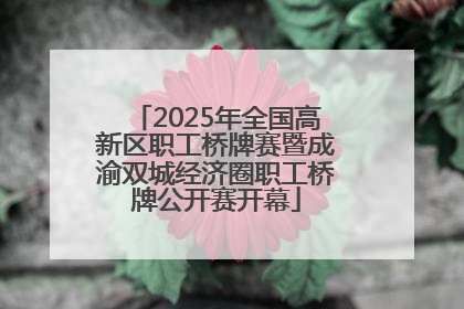 2025年全国高新区职工桥牌赛暨成渝双城经济圈职工桥牌公开赛开幕