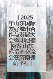 2025年山东国际友好城市合作与发展大会暨印尼楠榜省·山东省招商交流会在济南槐荫举行