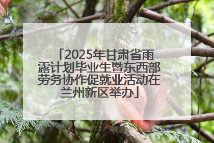 2025年甘肃省雨露计划毕业生暨东西部劳务协作促就业活动在兰州新区举办