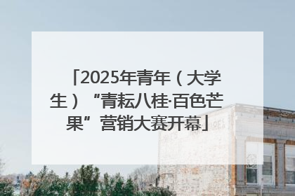 2025年青年（大学生）“青耘八桂·百色芒果”营销大赛开幕