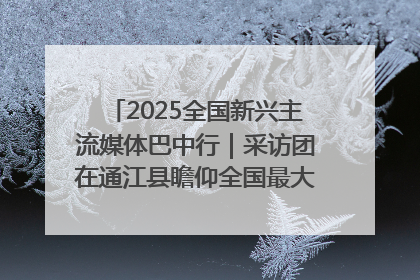 2025全国新兴主流媒体巴中行｜采访团在通江县瞻仰全国最大红军烈士陵园