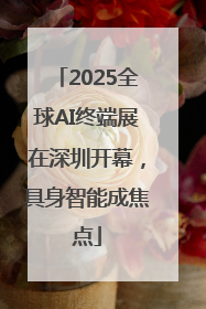 2025全球AI终端展在深圳开幕，具身智能成焦点