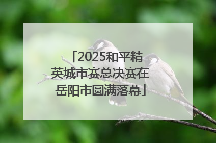 2025和平精英城市赛总决赛在岳阳市圆满落幕
