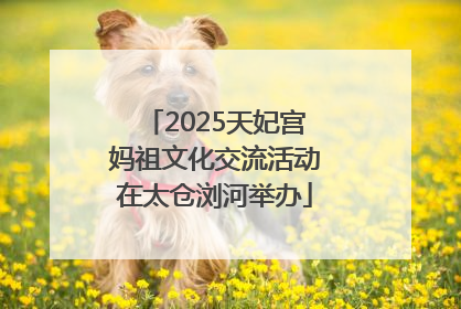 2025天妃宫妈祖文化交流活动在太仓浏河举办