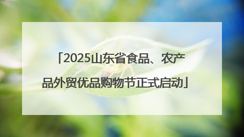 2025山东省食品、农产品外贸优品购物节正式启动