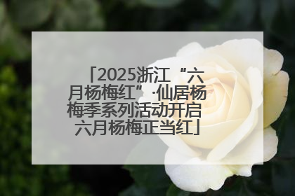 2025浙江“六月杨梅红”·仙居杨梅季系列活动开启 六月杨梅正当红
