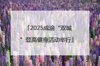 2025成渝“双城”登高健身活动举行