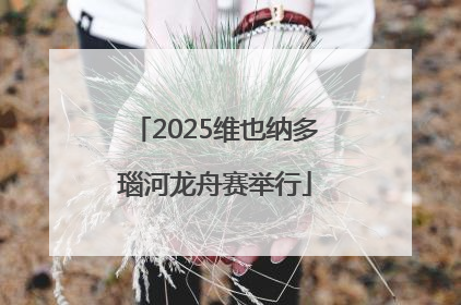 2025维也纳多瑙河龙舟赛举行